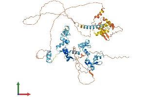 Protein Structure (PS) image for Zinc Finger Protein 336 (ZNF336) (AA 1-711) protein (His tag) (ABIN7548227)