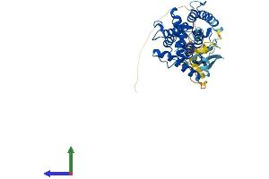 AlphaFold protein structure predicition of Mouse Recombinant Parvb Protein, UniprotID Q9ES46