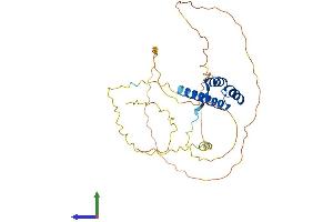 Protein Structure (PS) image for NK3 Homeobox 2 (NKX3-2) (AA 1-333) protein (His tag) (ABIN7556820)