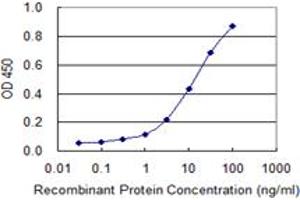 Detection limit for recombinant GST tagged SLC5A3 is 0. (SLC5A3 抗体  (AA 533-641))
