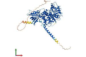 AlphaFold protein structure predicition of Mouse Recombinant Mtmr2 Protein, UniprotID Q9Z2D1 (MTMR2 Protein (AA 1-643) (His tag))