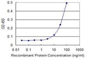 Detection limit for recombinant GST tagged FANCF is 3 ng/ml as a capture antibody. (FANCF 抗体  (AA 1-91))
