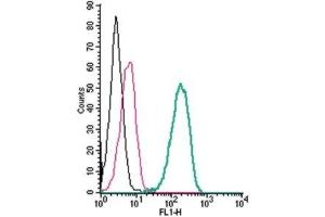 Flow Cytometry (FACS) image for anti-Growth Hormone Secretagogue Receptor (GHSR) (AA 197-207), (Extracellular) antibody (ABIN7043264)