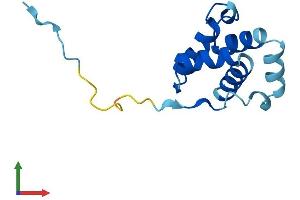 Protein Structure (PS) image for Cornifelin (CNFN) (AA 1-112) protein (His tag) (ABIN7546505)