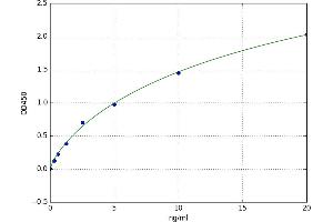 A typical standard curve