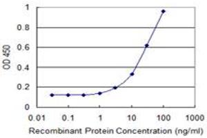 Detection limit for recombinant GST tagged REXO2 is 1 ng/ml as a capture antibody. (REXO2 抗体  (AA 101-210))