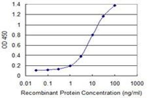 Detection limit for recombinant GST tagged ATF1 is 0. (AFT1 抗体  (AA 1-271))