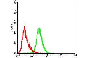 Flow cytometric analysis of THP-1 cells using CD5 mouse mAb (green) and negative control (red). (CD5 抗体  (AA 403-495))