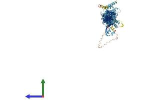 Protein Structure (PS) image for Exocyst Complex Component 6B (EXOC6B) (AA 1-811) protein (His tag) (ABIN7547433)