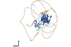 Protein Structure (PS) image for Cytoplasmic Polyadenylation Element Binding Protein 2 (CPEB2) (AA 1-589) protein (His tag) (ABIN7546792)