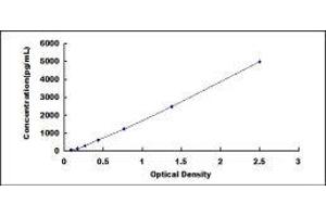 Myosin, Light Chain 3 (MYL3) ELISA Kit