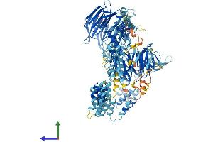 AlphaFold protein structure predicition of Human Recombinant WDR35 Protein, UniprotID Q9P2L0