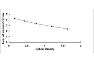 Typical standard curve (PROK2 ELISA 试剂盒)