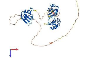 TIA1 Protein (AA 1-386) (His tag)