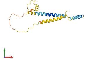 AlphaFold protein structure predicition of Mouse Recombinant Fam162a Protein, UniprotID Q9D6U8