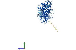 AlphaFold protein structure predicition of Human Recombinant DFFB Protein, UniprotID O76075
