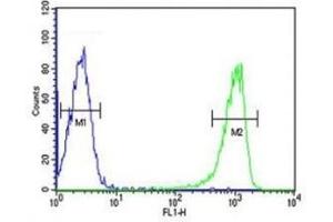 Flow Cytometry (FACS) image for anti-Tumor Necrosis Factor (Ligand) Superfamily, Member 11 (TNFSF11) (AA 1-30) antibody (ABIN3029354)