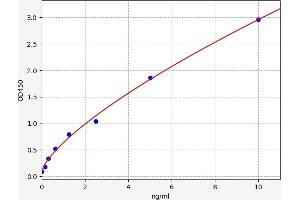 Retinoblastoma 1 ELISA 试剂盒