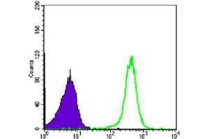 Flow Cytometry (FACS) image for anti-Chromobox Homolog 1 (CBX1) antibody (ABIN1845962) (CBX1 抗体)