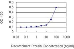 Detection limit for recombinant GST tagged BCL2L2 is 10 ng/ml as a capture antibody. (BCL2L2 抗体  (AA 1-193))