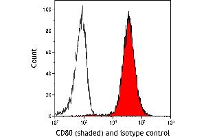 Flow Cytometry (FACS) image for anti-CD80 (CD80) (AA 35-246) antibody (ABIN7449415) (Recombinant CD80 抗体  (AA 35-246))