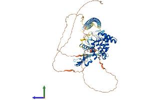 Protein Structure (PS) image for Rac GTPase Activating Protein 1 (RACGAP1) (AA 1-628) protein (His tag) (ABIN7565248)