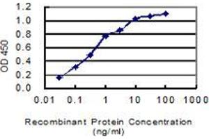 Detection limit for recombinant GST tagged MAST4 is 0. (MAST4 抗体  (AA 2605-2699))