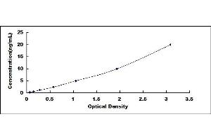 Typical standard curve (Endothelin-1 Receptor ELISA 试剂盒)