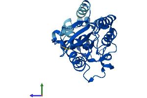 AlphaFold protein structure predicition of Human Recombinant PGAM2 Protein, UniprotID P15259