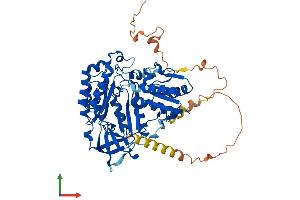 AlphaFold protein structure predicition of Human Recombinant CDKAL1 Protein, UniprotID Q5VV42 (CDKAL1 Protein (AA 1-579) (His tag))