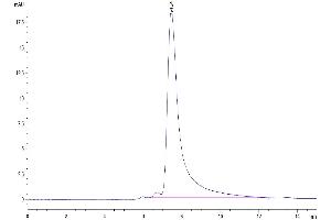Size-exclusion chromatography-High Pressure Liquid Chromatography (SEC-HPLC) image for Solute Carrier Family 3 (Activators of Dibasic and Neutral Amino Acid Transport), Member 2 (SLC3A2) (AA 206-630) protein (His tag) (ABIN7274265)