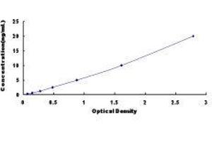 Retinoic Acid Receptor, alpha (RARA) ELISA Kit