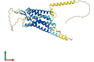 AlphaFold protein structure predicition of Human Recombinant AVPR1A Protein, UniprotID P37288