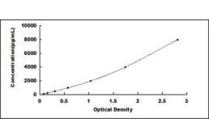 Typical standard curve (CH25H ELISA 试剂盒)