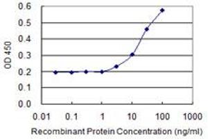 Detection limit for recombinant GST tagged HOMER1 is 1 ng/ml as a capture antibody. (HOMER1 抗体  (AA 1-354))