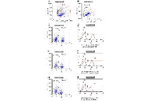 Flow-cytometric analysis of the dose-dependency (D, F, H) of anti-hCD3e antibody binding to live human PBMCs (B). (Recombinant CD3 epsilon 抗体)
