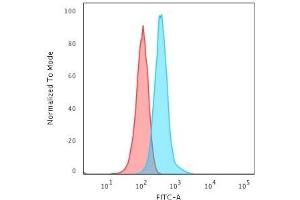 Flow Cytometry (FACS) image for anti-Glial Fibrillary Acidic Protein (GFAP) (AA 101-200) antibody (ABIN6939507)