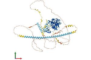 Protein Structure (PS) image for Cyclin-Dependent Kinase 11B (CDK11B) (AA 1-784) protein (His tag) (ABIN7563004)