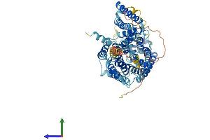 Protein Structure (PS) image for Solute Carrier Family 7 (Cationic Amino Acid Transporter, Y+ System), Member 2 (SLC7A2) (AA 1-658) protein (His tag) (ABIN7553585)