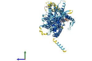 Protein Structure (PS) image for Anoctamin 5 (ANO5) (AA 1-913) protein (His tag) (ABIN7552221)