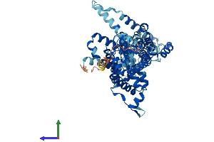 Protein Structure (PS) image for Solute Carrier Family 26, Member 11 (SLC26A11) (AA 1-593) protein (His tag) (ABIN7558451)