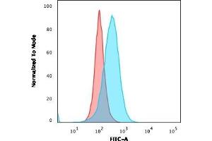 Flow Cytometric Analysis of Ramos cells using CD5-Monospecific Mouse Monoclonal Antibody (CD5/2416) followed by goat anti-Mouse IgG-CF488 (Blue); Isotype Control (Red).