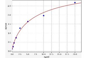 Phospholipase C gamma 2 ELISA 试剂盒