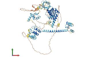 Protein Structure (PS) image for Ankyrin Repeat and Zinc Finger Domain Containing 1 (ANKZF1) (AA 1-748) protein (His tag) (ABIN7558341)
