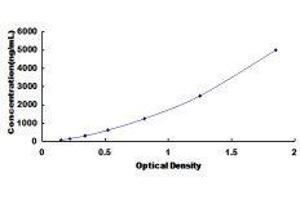 Casein beta (CSN2) ELISA Kit