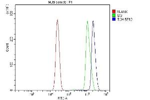 Flow Cytometry analysis of U937 cells using anti-ITCH/AIP4 antibody (ABIN7600263).