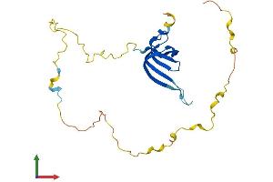 Protein Structure (PS) image for Small Nuclear Ribonucleoprotein Polypeptides B and B1 (SNRPB) (AA 1-231) protein (His tag) (ABIN7563022)