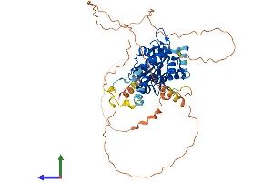 Protein Structure (PS) image for Exonuclease 3'-5' Domain Containing 1 (EXD1) (AA 1-514) protein (His tag) (ABIN7553866)