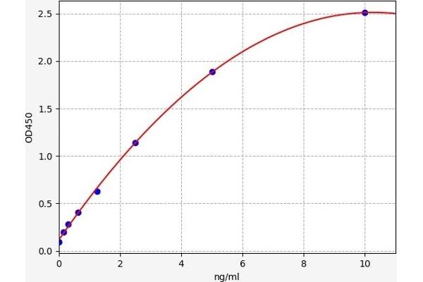 ASRGL1 ELISA 试剂盒