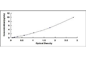 Typical standard curve (RAC1 ELISA 试剂盒)
